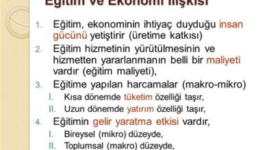 Dijital Eğitim ve Ekonomi İlişkisi
