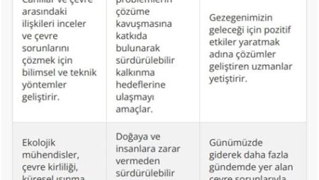 Siyasi Gündemde Ekolojik Konular